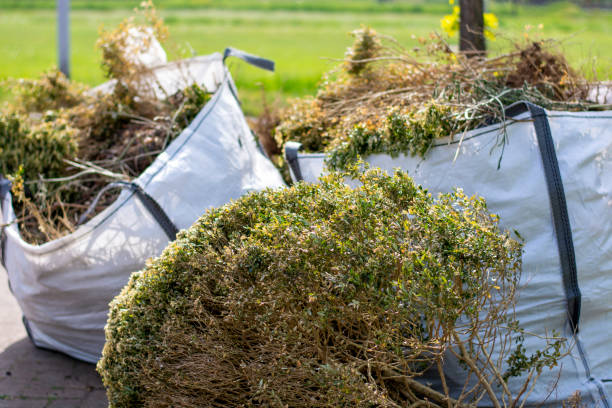 Best Demolition Debris Removal  in Chuluota, FL